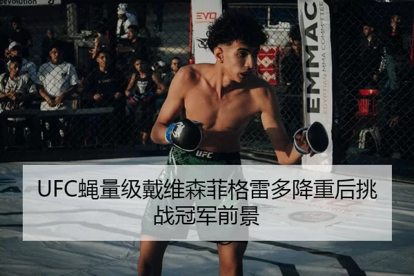 ying-liang-ji-dai-wei-sen-fei-ge-lei-duo-jiang-zhong-hou-tiao-zhan-guan-jun-qian-jing-2-319.jpg