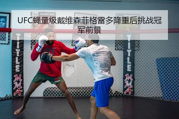 ying-liang-ji-dai-wei-sen-fei-ge-lei-duo-jiang-zhong-hou-tiao-zhan-guan-jun-qian-jing-3-941.jpg