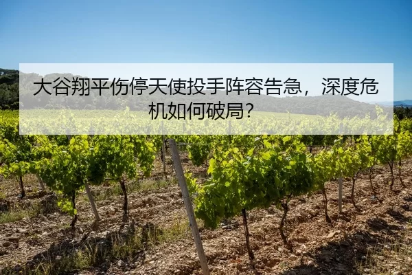 大谷翔平伤停天使投手阵容告急，深度危机如何破局？