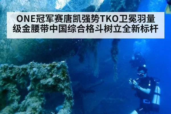 ONE冠军赛唐凯强势TKO卫冕羽量级金腰带中国综合格斗树立全新标杆