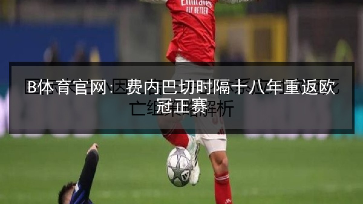 B体育官网: 费内巴切时隔十八年重返欧冠正赛